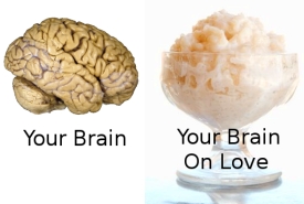 Brain = Rice Pudding. Any Questions?